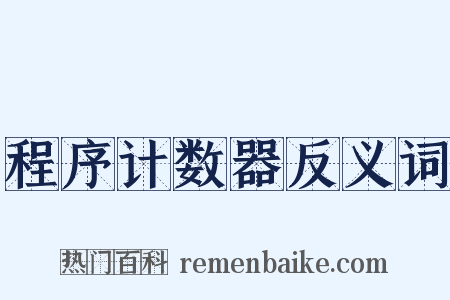 程序计数器反义词是什么意思的图片